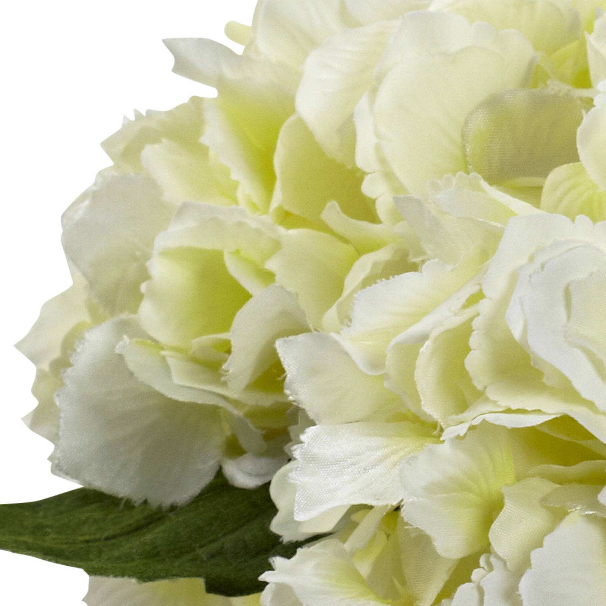 8.5" Cream Blooming Hydrangea in Glass Vase